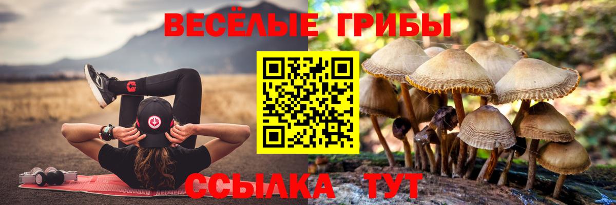 Галлюциногенные грибы Psilocybine cubensis  Вход с VPN  продажа наркотиков  Новокубанск 