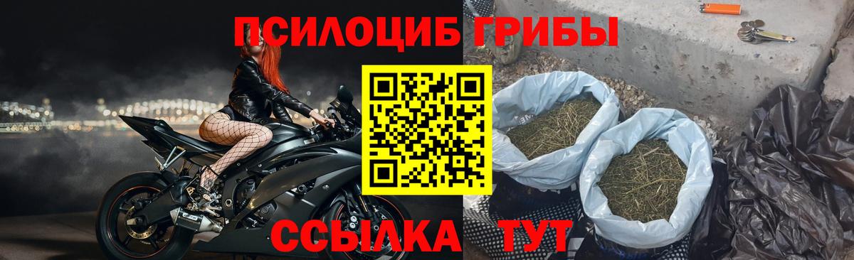Псилоцибиновые грибы MAGIC MUSHROOMS Новокубанск